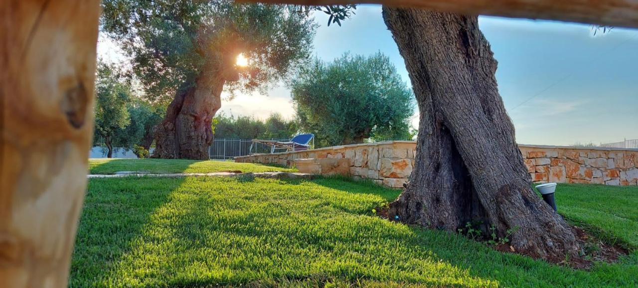 Trulli Lisanna - Apulian Hideaway With Pool Apartment Antonelli Bagian luar foto