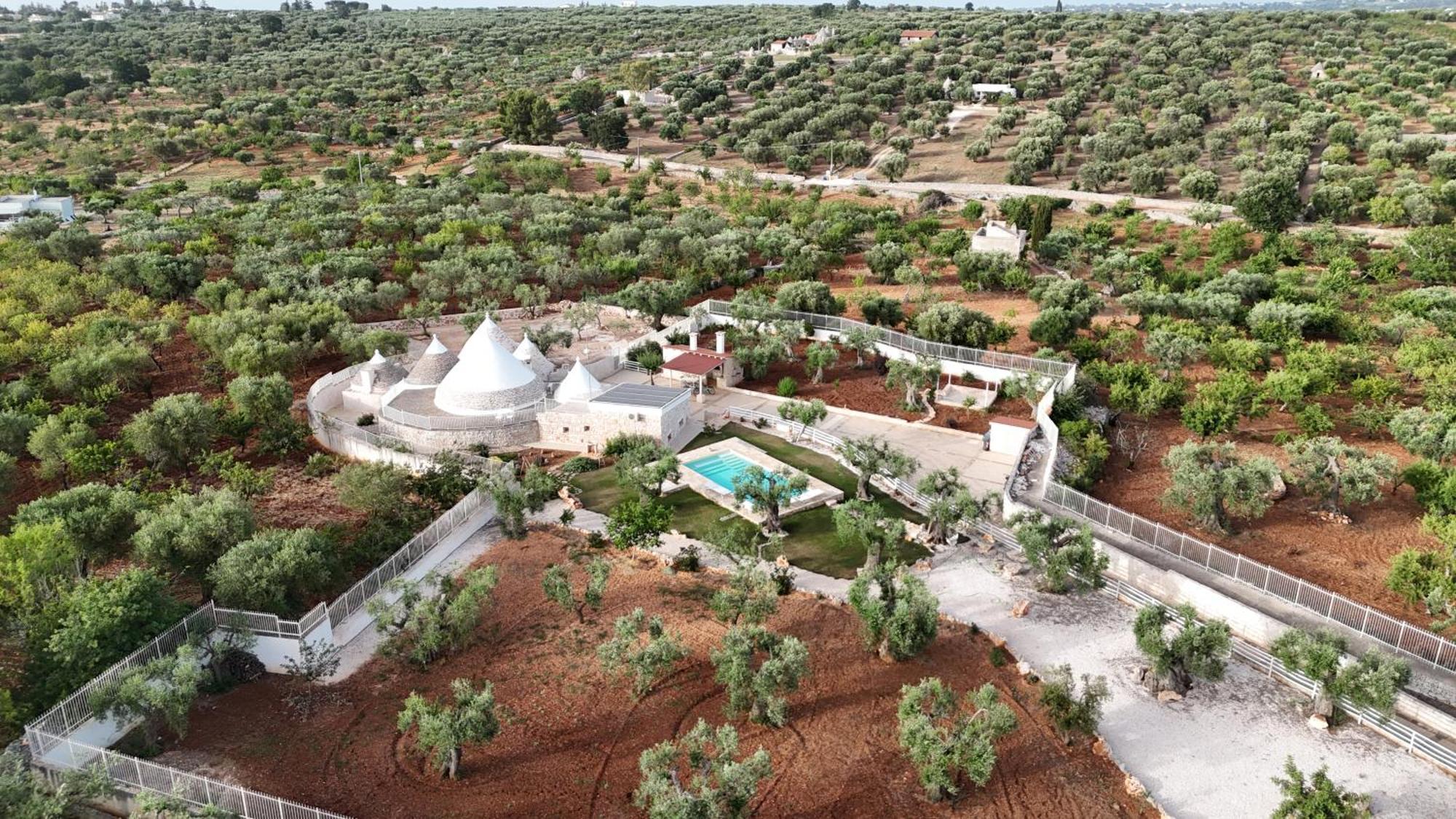 Trulli Lisanna - Apulian Hideaway With Pool Apartment Antonelli Bagian luar foto